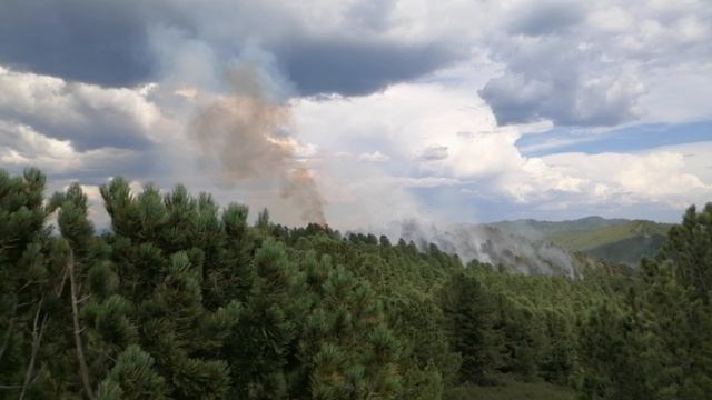 Пожар в тайге