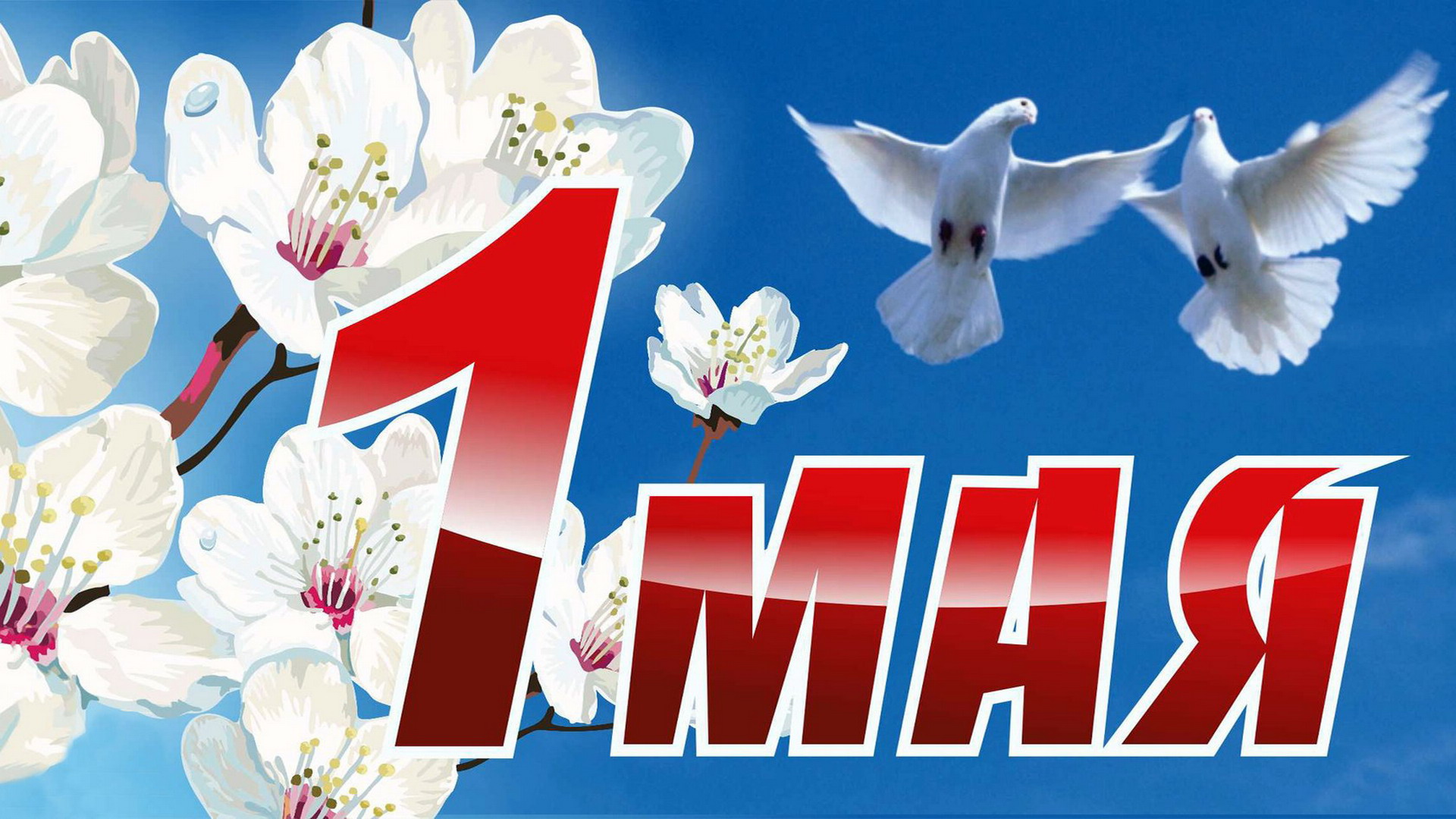 Картинки Люблю Май