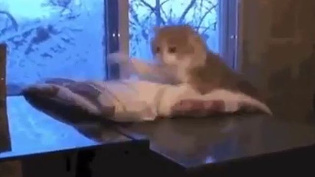 Когда приснился страшный сон
