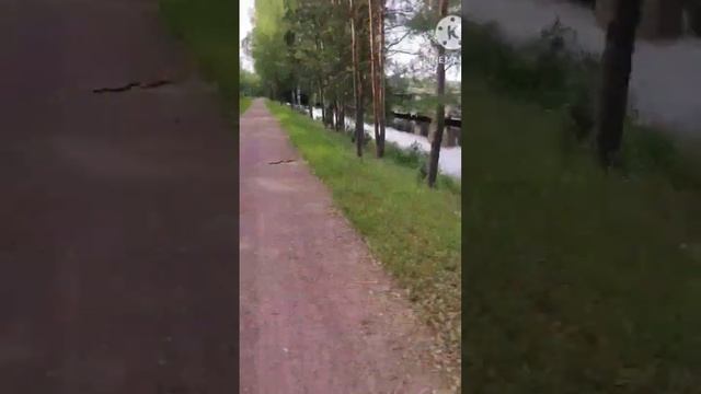 Осторожно змеи!!!!