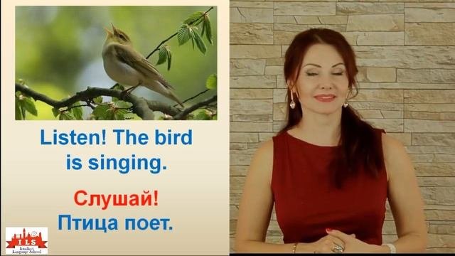 Урок на тему PRESENT CONTINUOUS. Употребление  Школа ILS Intellect Language School