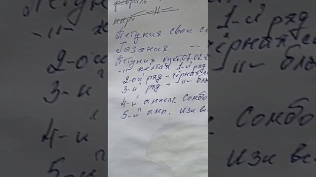 петуния черная всходы,новый посев