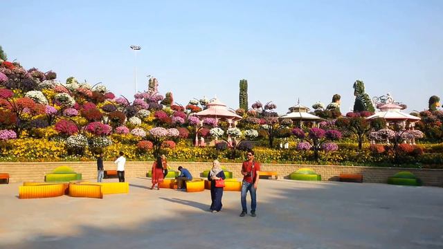 Miracle Garden Dubai 2022 | The World's Largest Natural flower Garden |Season-10