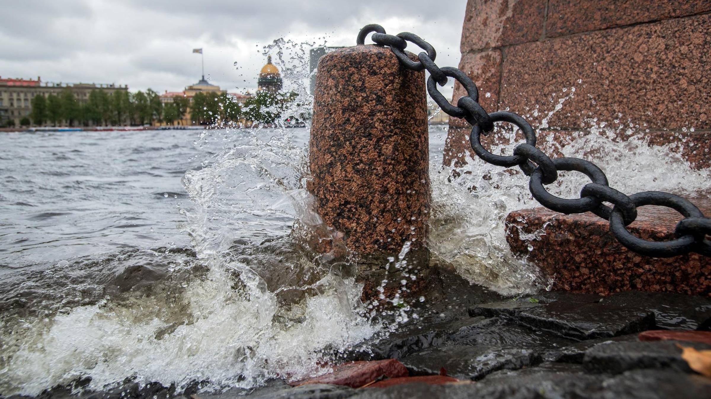 Ролик, который показали на пленарном заседании ПМЭФ-24 перед выступлением Путина
