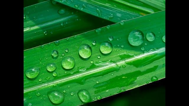Звуки дождя без грома для сна и отдыха. Rain sounds for sleeping and relaxing.