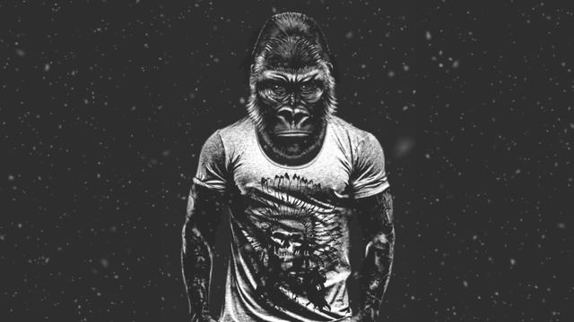 ZHU at Hakuba Iwatake in Nagano, Japan