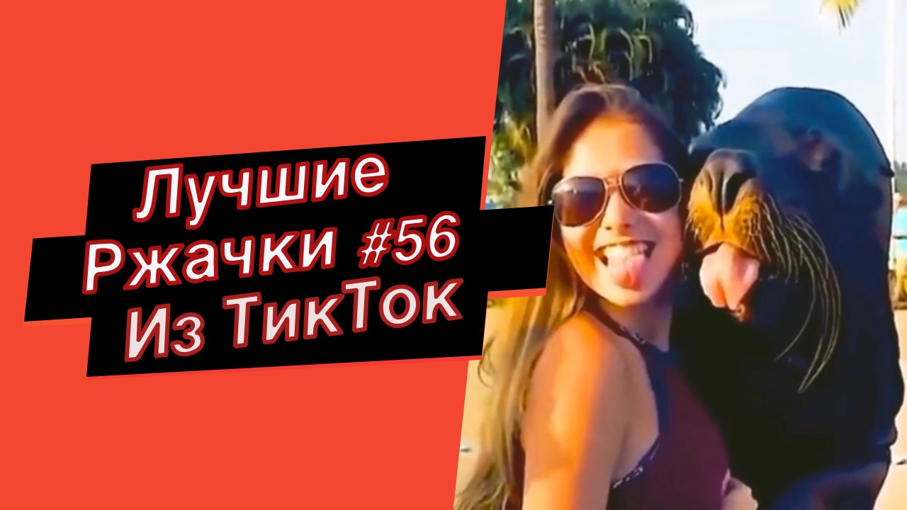 ПРИКОЛЫ ИЗ ТИК ТОК 10 МИНУТ ТИК ТОКА ТИК ТОК МЕМЫ РЖАЧКИ ИЗ ТИК ТОК ЛУЧШИЕ ПРИКОЛЫ 2022 №56