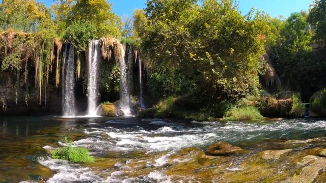 Релакс на фоне водопада и пения птиц #пениептиц #видеорелакс #водопады #крепкийсон