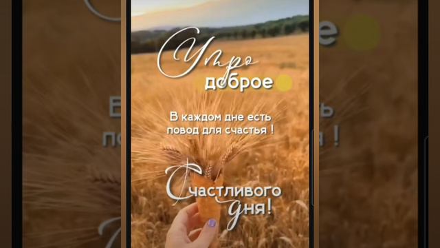 Доброе утро #доброеутро #благодарность