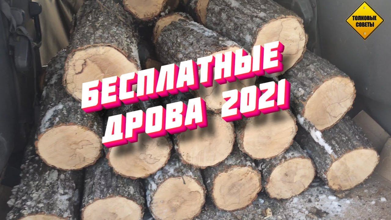 Больше не нужно покупать дрова. Как я со своим другом за 20 мин. гружу машину бесплатного валежника