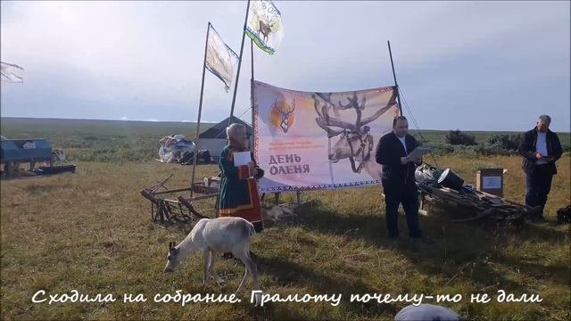 Один день из жизни Малышки