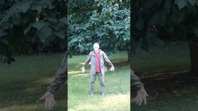 Рэйки-Цигун. Евгений Дубровский. Практика для Мастеров. https://t.me/ReikiPraktikaUsui
