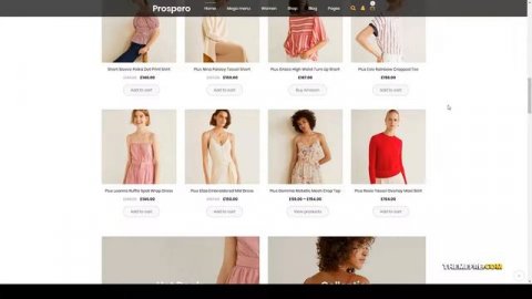 Prospero - Fashion Jewelry Watch and Glasses WooCommerce Theme electronics elementor Aizawa