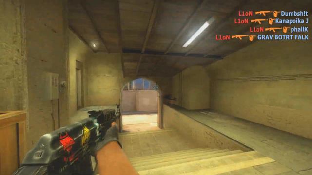 L1oN ACE with AK-47/Galil