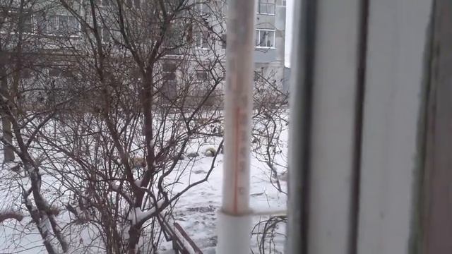 Погода за окном/ по ходу зима наступила/синички голодные/