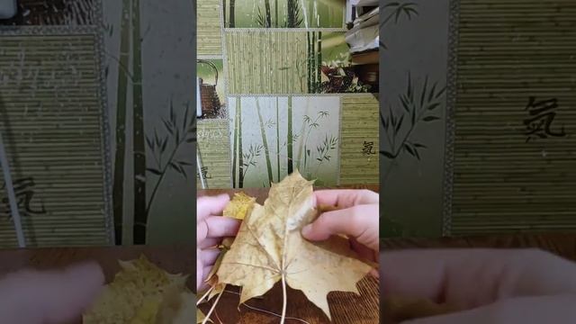 Шляпки