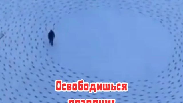 Посмотри и перезвони!