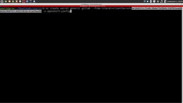 Openshift 4.6 Authentication With GitLab