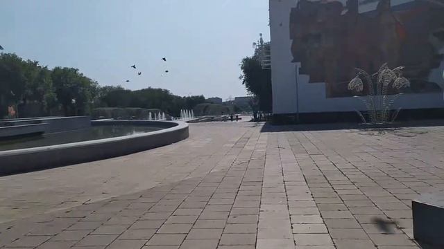 Тестирую камеру на телефоне Xiaomi Redmi 7 Note, камера 48МП.../ Xiaomi Redmi 7 Note camera