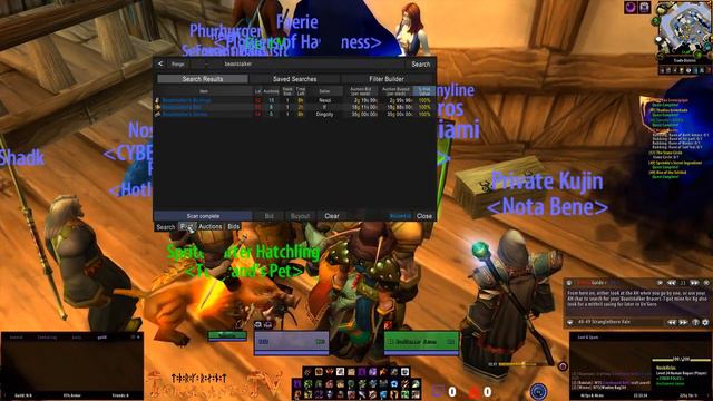 WoW Classic Vanilla Northdale Warlock leveling