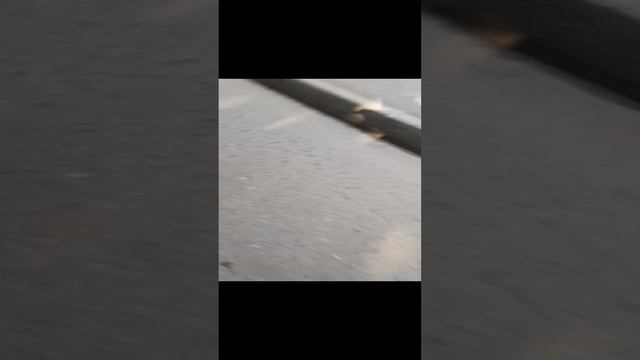 мы с другом когда слышем гром