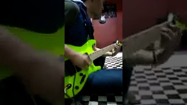 Ibanez E Series Hijau Stabilo