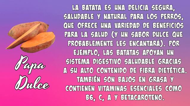 Galletas SIN HORNO Dulces y Saladas para PERROS, Coton de Tulear I Lorentix