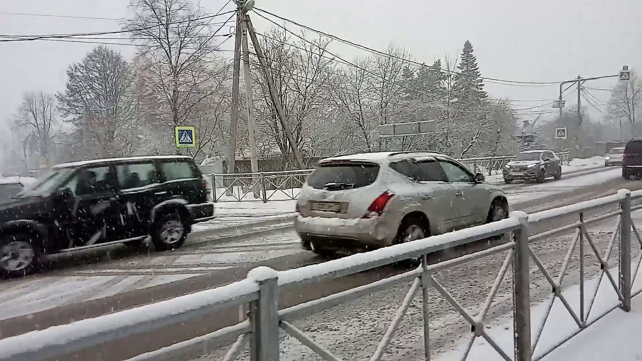 Погодный Пердомонокль! Зеленоград. 11.02.2020г.