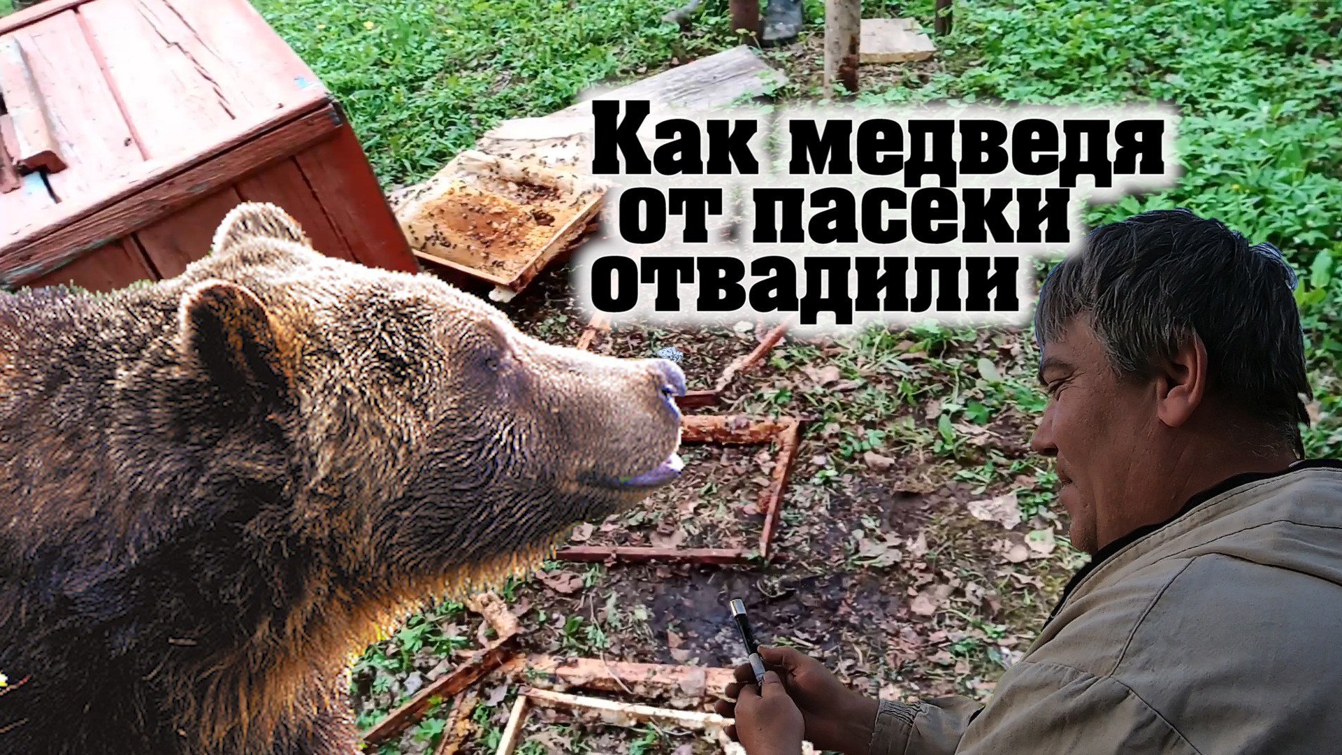 Защита пасеки от медведя. Ставим шумовые растяжки.