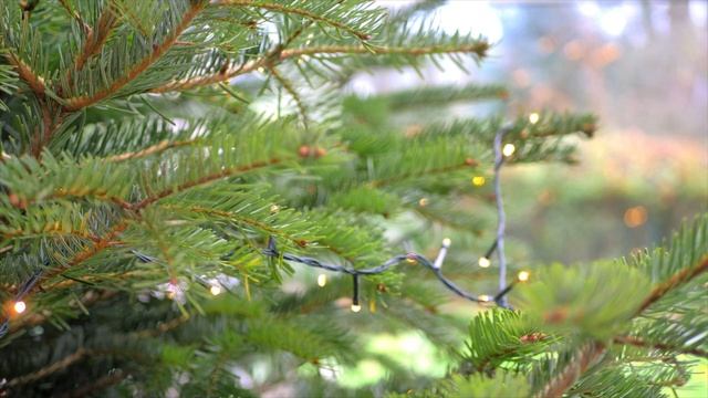 ДЕРЕВЕНСКИЙ ДНЕВНИК ОЧЕНЬ МНОГОДЕТНОЙ МАМЫ. Обзор. Уставшая от детей Быкова отправляет Варю к папе