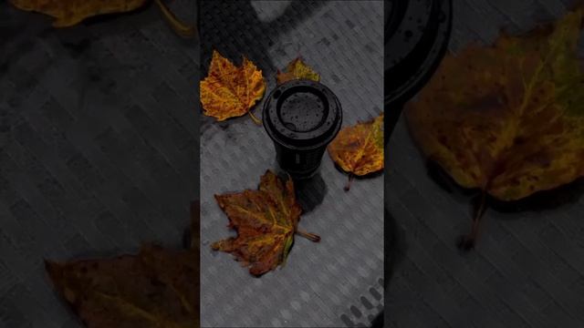 Лето уходить и от этого очень грустно.