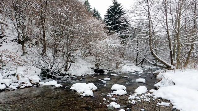 Зимний Сон/Музыка Для Души/winter Sleep/music For The Soul