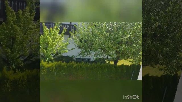 ВАРЕЖКА УНИВЕРСАЛЬНАЯ ОТ GREENWAY 3 мая 2020 г.