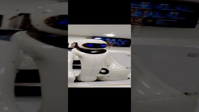 Robot