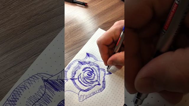 как рисовать синей ручкой розы