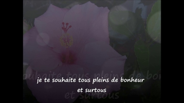 Pour Ma Flipette........