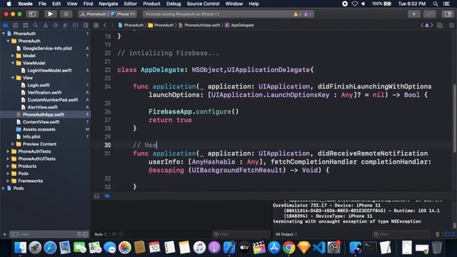 SwiftUI 2.0 Login Page With Firebase Phone Auth - Part 2: Firebase Integration