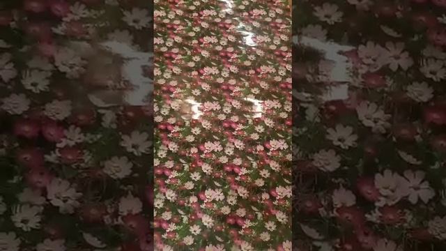 Линолеум полевые цветы