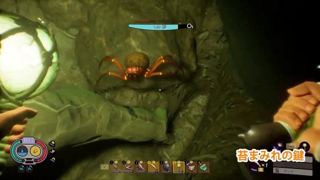 【Grounded】 苔まみれの鍵と宝箱の場所 【グラウンデッド】