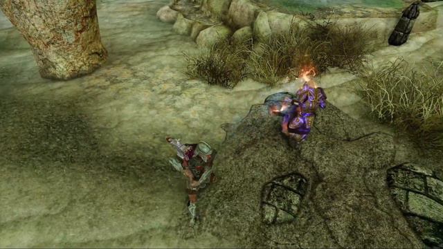 General Falx Carius vs Pelagius the Suspicious | Skyrim