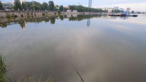 Утренняя рыбалка на спиннинг на городском пруду в августе