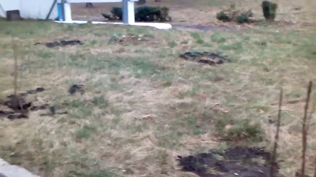 Влог Пицца от Влада Суп из крапивы