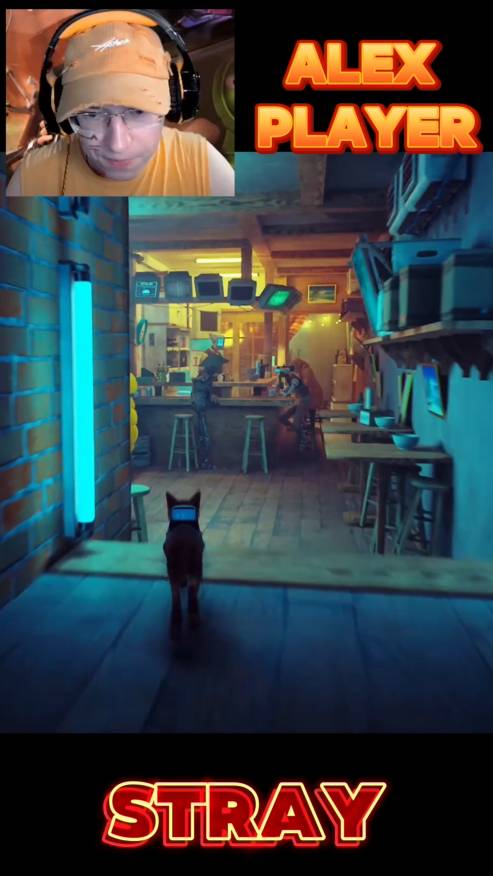 Котик разбудил робота в Stray