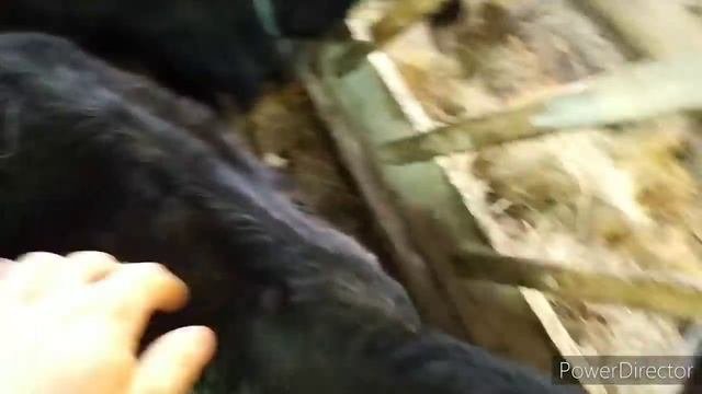 КАК ВЫБРАТЬ КОГО ИЗ НИХ ПРОДАТЬ???  ???