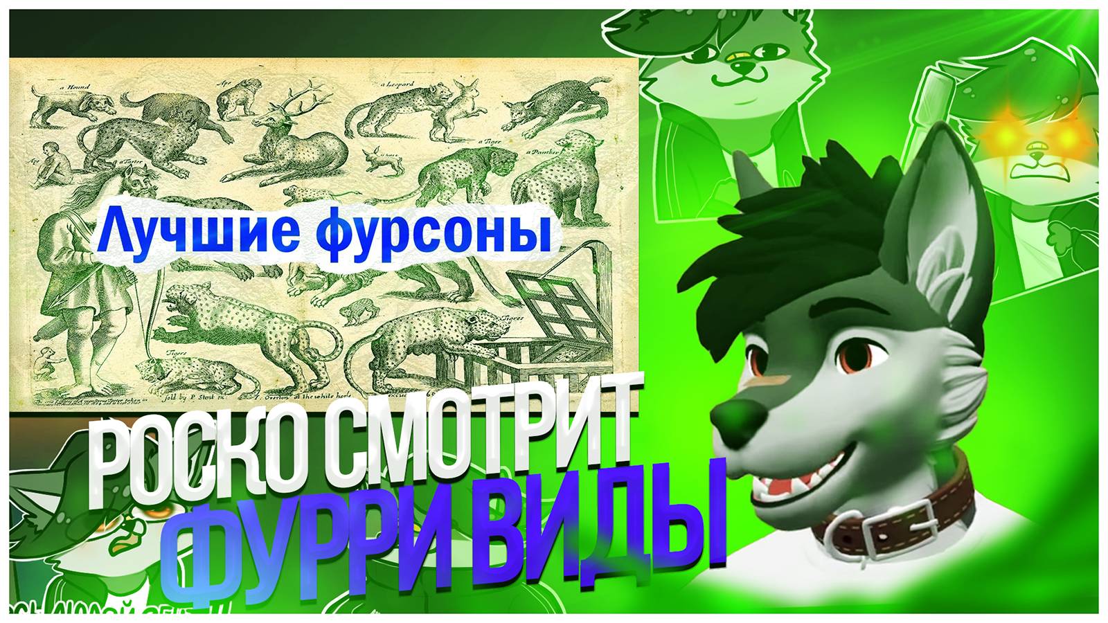  Роско смотрит Лучшие фурри-виды  Аналитика фэндома