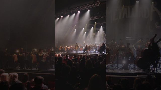 MetalliadA 17 марта 2024 Премьера в Москве#orchestra #music #livemusic #concert #live #violin #metal