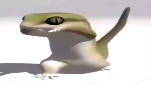 КАКАО КАКАО КАКОУ КОУ КОУ