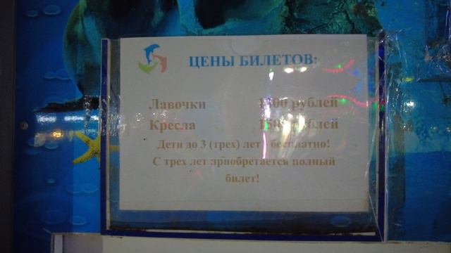 Архипо-осиповка 09.09.2024 год. Ночная прогулка