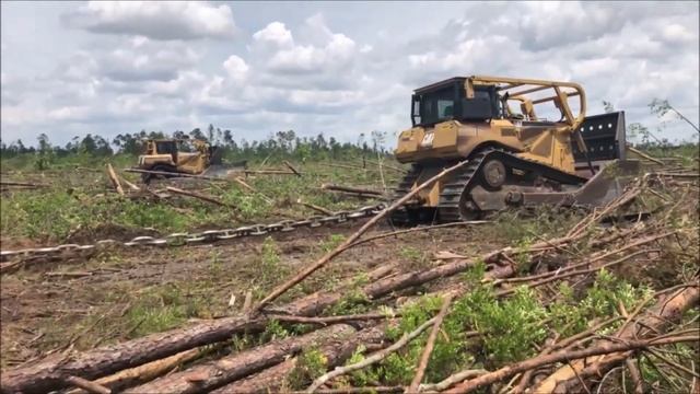 CHAINING FLORIDA PANHANDLE HURRICANE DAMAGED LAND