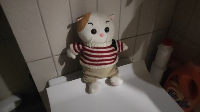 VID_20231105_141642.mp4